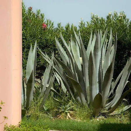 Hotel Ecoresort Zefyros 3*