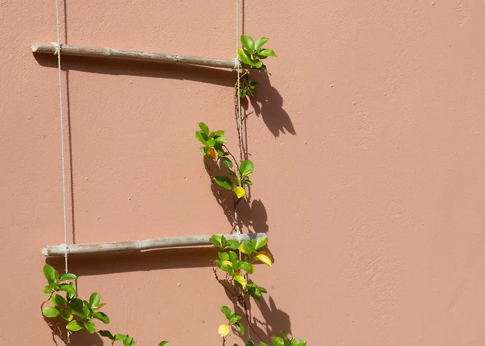 Ecoresort Zefyros Hotel 3*